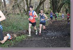 Begles 15.12.13 01 1048 * 679 x 453 * (188KB)